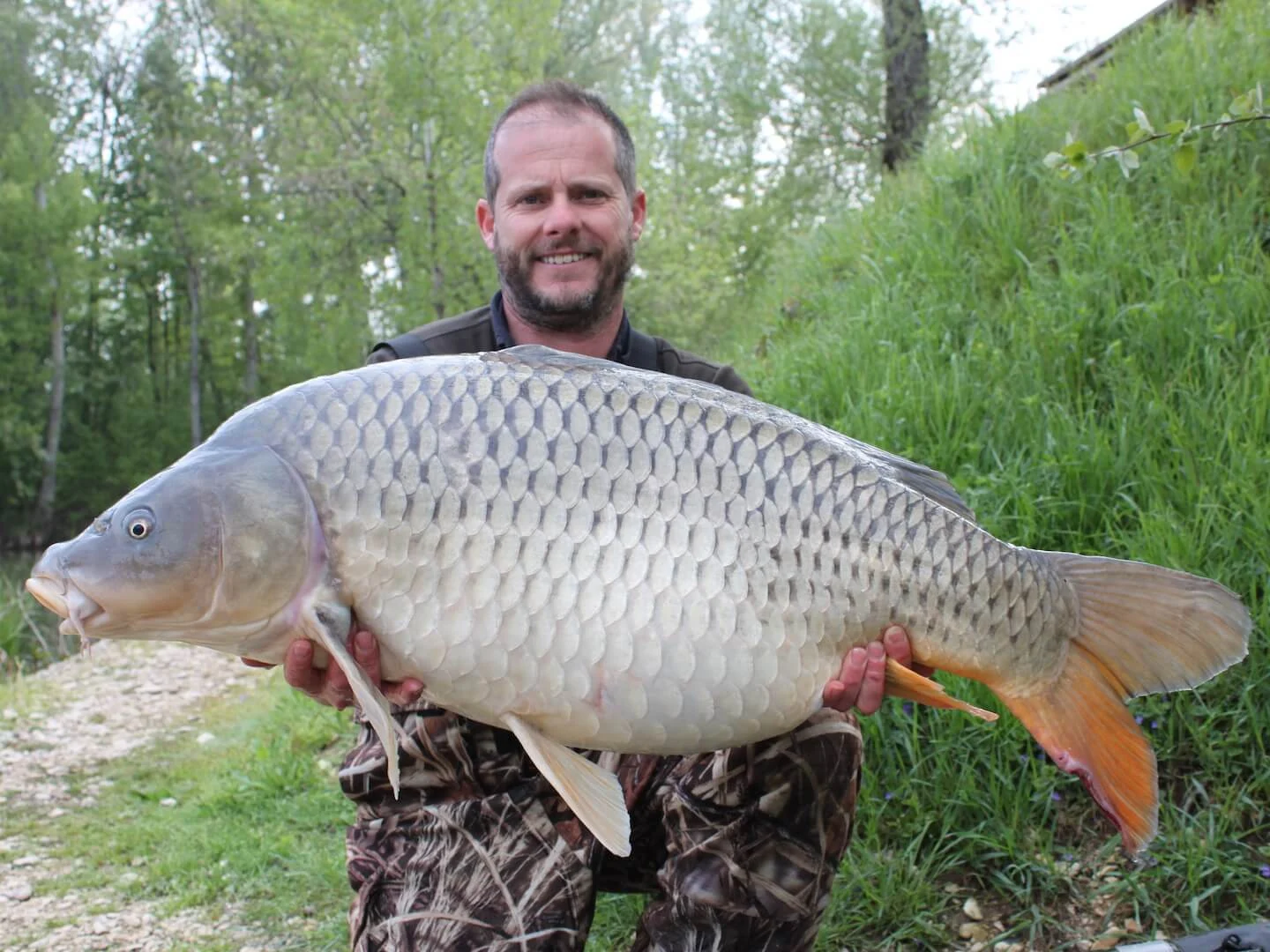 47.0 MY COMMON