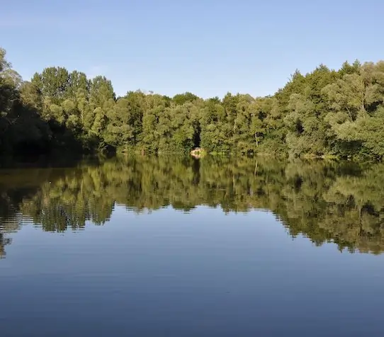 An evening view of Lake Juvanzé with a perfect reflection of the surrounding trees.